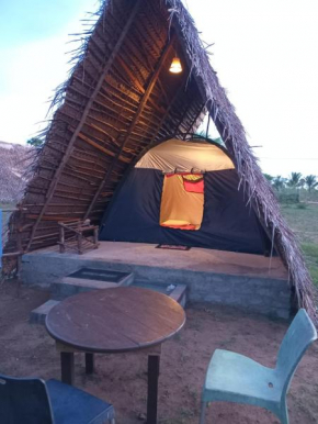 Ceylon Antheia Beach camping site